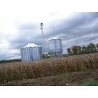 Medina: Outskirts of town: Robert`s Farm Corn Dryer on Salt Rd.