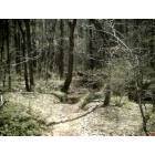Love Valley: Creekside at Love Valley, NC