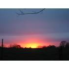 Marshfield: : marshfield sunset