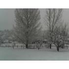 Payson: : March snow day viewed from a cabin's backyard