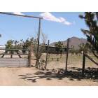 Dolan Springs: my new home in dolan springs