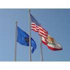 Buena Park: Flags Flying in Front of City Hall
