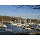 Milford: : Milford, CT - View of Harbor