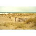 St. Joseph: : Tscornia Beach Sand Dunes