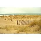 St. Joseph: Tscornia Beach Sand Dunes