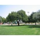 Lawndale: The Alondra Park Playground