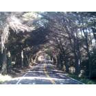Mendocino: Highway 1
