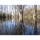 Okemos: A picture of the Red Cedar River