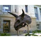 Washington: : The National Museum of Natural History - Smithsonian Institution, Washington D.C.