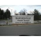 Barnesville: Home of the Shamrocks