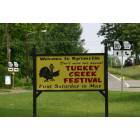 Byromville: Annual Turkey Festival Sign