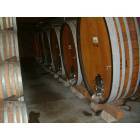 St. Helena: Wine barrels in a winery in St. Helena