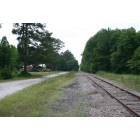 Higgston: Looking West down railroad tracks