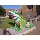 East Moline: Library Reading Frog Statue