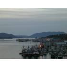 Sitka and: Sitka Harbor