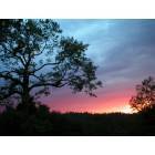 Mountain Ranch: A Mountain Ranch Sunset