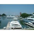Hilton Head Island: Marina at Harbor Town Resorts