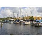 Safety Harbor: Western view from City Marina