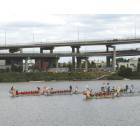 Portland: Dragon Boat Race
