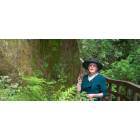 Guerneville: Hiking at Armstrong Woods Park