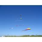 Long Beach: Kites at the ocean