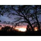 Mountain Ranch: Mountain Ranch Sunset