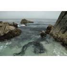 Monterey: just north of Lover's Point