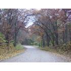 Somerset: Oak canopied road along St Croix River that leads to historic river crossing.