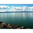 Clearlake: lucerne