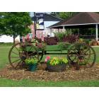 Lavonia: Wagon of Flowers in Downtown City Park