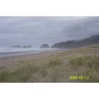 Cannon Beach: Chapman Cove