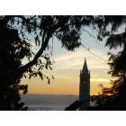 Berkeley: Campanile at Sunset