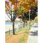 Lake Geneva: : Autumn Along Wrigley Drive, Lake Geneva, Wisconsin
