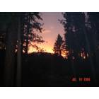 South Lake Tahoe: Sunset in woods at S. Lake Tahoe
