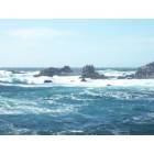 Monterey: lovers poing
