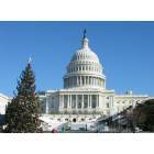 Washington: : US Capitol December 2004 - Christmas tree and inugural stands