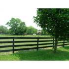 Westfield: The Village Farms Estate Lots with Mini Farm and Horses