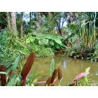Naples: Naples Zoo