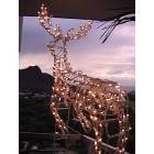 Honolulu: Christmas in Waikiki