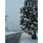 Mapleton: Winter Day