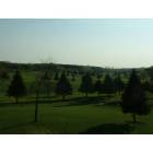 Rochester: : Golf field in Spring