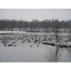 Rochester: : Silver Lake, Winter