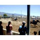 Lewiston: 4th of July Horse Race