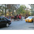 New York: : Buggy rides in Central Park, Mahattan, NY, NY