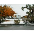 Twentynine Palms: Snow in Twentynine Palms, Ca