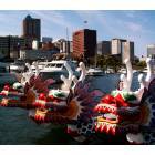 Portland: Dragon Boats, Harbor, Portland, Oregon
