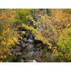 Duluth: : Miller Creek In The Fall of 2006
