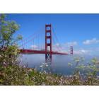San Francisco: Fog over the Golden Gate