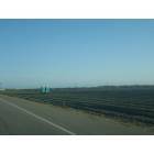 Camarillo: Camarillo agriculture