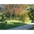 Delavan: Paul Lange Arboretum